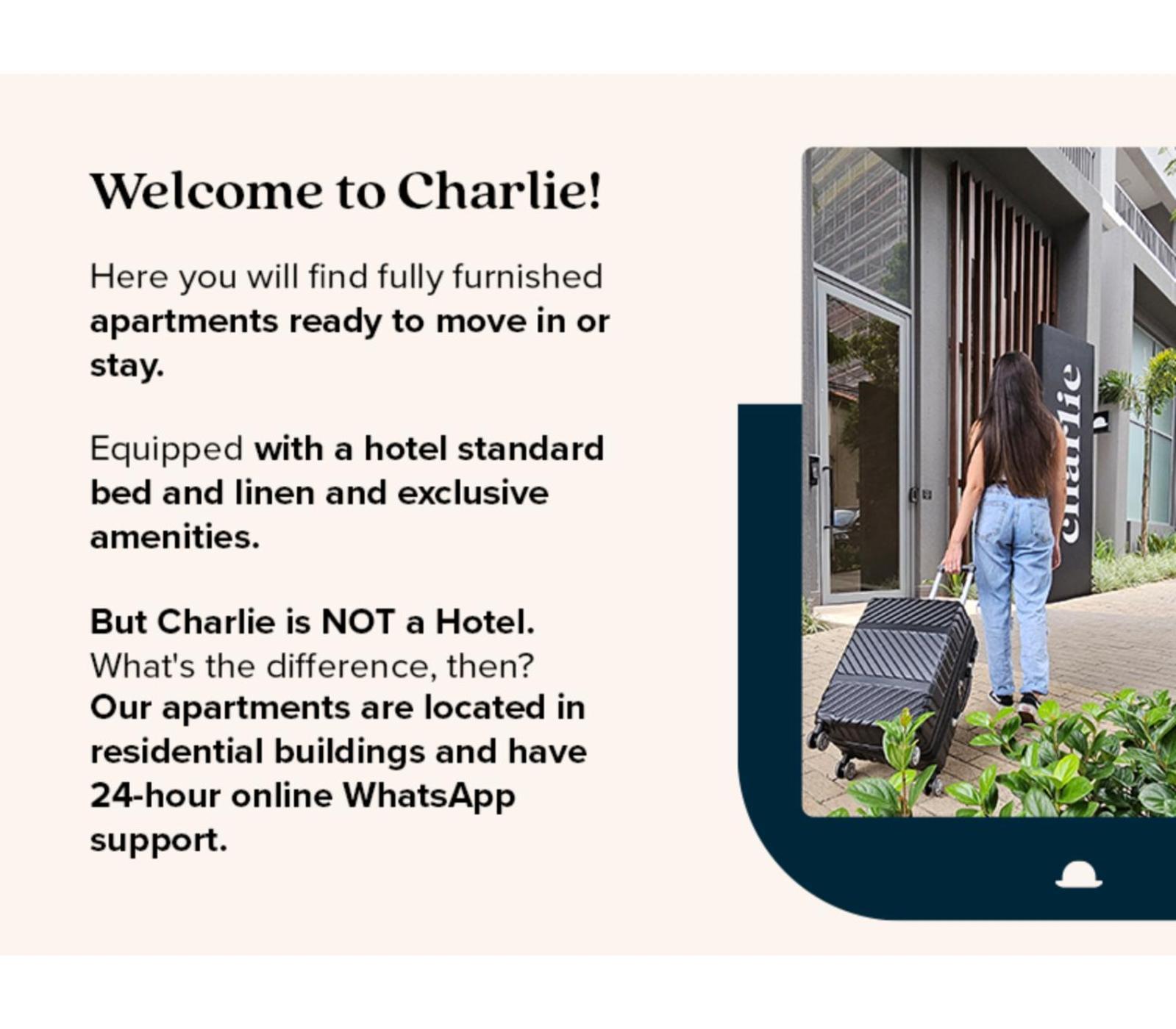 Charlie Girassol Vila Madalena São Paulo Eksteriør billede